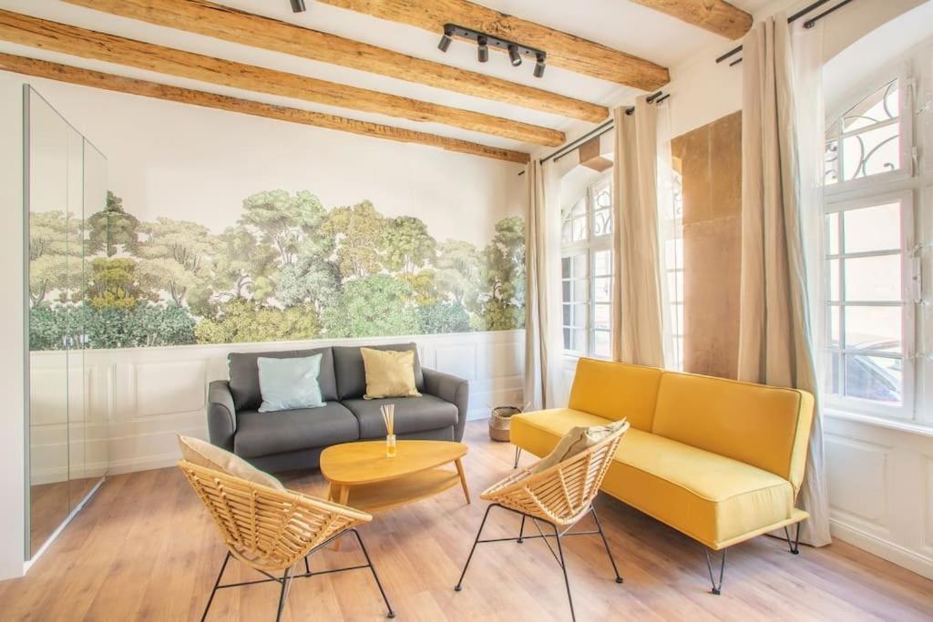 La Halte Strasbourgeoise - Superbe Appt Pres De La Petite France Apartment Bagian luar foto
